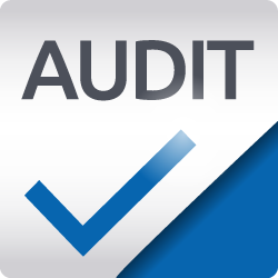 AUDIT_icon-01